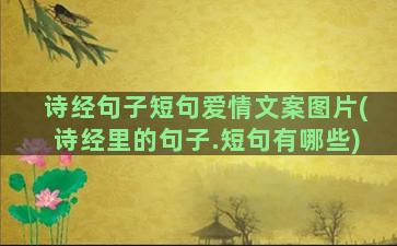 诗经句子短句爱情文案图片(诗经里的句子.短句有哪些)