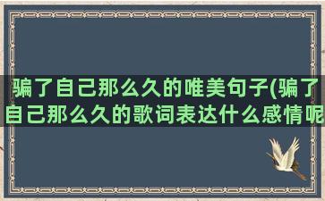 骗了自己那么久的唯美句子(骗了自己那么久的歌词表达什么感情呢)